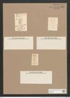 Navicula elliptica var. minor (N. parnula). Rbh. (de-Toni-Nr.: Genus 1, Species 298) Zeichnungen Sammlung Grunow Nr. 688 (NHMW-BOT-W0367063)